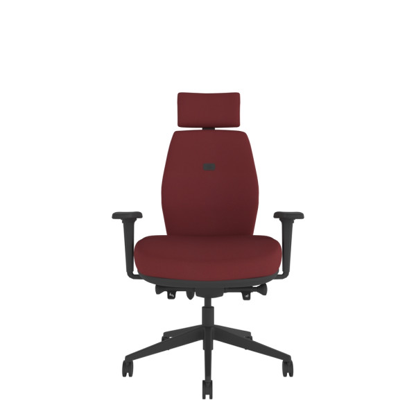 Solo Medium Back Large Seat Chair with Headrest
